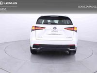 usado Lexus NX300 300h Business Navigation 2WD