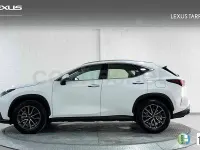 Usado Lexus NX350h 197 CV (144 kW) 2026 Blanco SUV