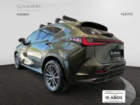 Nuevo Lexus NX350h 242 CV (177 kW) 2025 Verde SUV