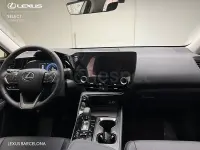 Usado Lexus NX350h 197 CV (144 kW) 2026 Blanco SUV