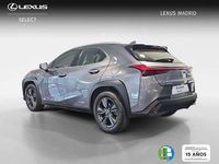 Usado Lexus UX 250h Business Edition 184 CV (135 kW) 2021 Gris SUV