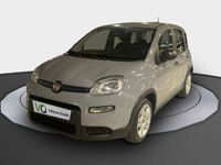 usado Fiat Panda 1.0 MHEV S/S 70CV 5P