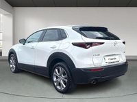 Usado Mazda CX-30 122 CV (89 kW) 2022 Blanco SUV