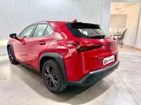 Usado Lexus UX 250h Business Edition 184 CV (135 kW) 2022 Rojo SUV