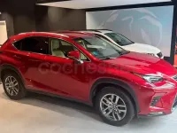 Usado Lexus NX300h Executive Line 197 CV (144 kW) 2018 Rojo SUV