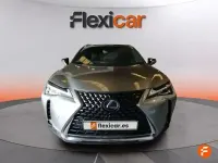 Usado Lexus UX Business Edition 184 CV (135 kW) 2019 Beige SUV