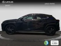 Nuevo Lexus UX 300h 199 CV (146 kW) 2026 Negro SUV