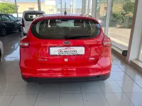 Usado Ford Focus Trend 125 CV (91 kW) 2018 Rojo Berlina