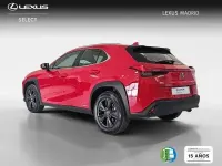 Usado Lexus UX Business Edition 183 CV (134 kW) 2020 Rojo SUV
