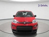 Nuevo Fiat Panda 71 CV (52 kW) 2025 Rojo Utilitario