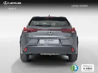 Usado Lexus UX 199 CV (146 kW) 2025 Gris SUV