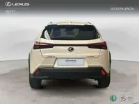 Usado Lexus UX 300h 199 CV (146 kW) 2026 Blanco SUV