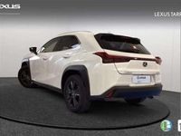 usado Lexus UX 250h Premium 2WD