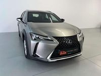 Usado Lexus UX 250h Executive Line 184 CV (135 kW) 2022 Beige SUV
