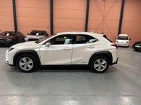 Usado Lexus UX 250h Business Edition 2021 Blanco SUV