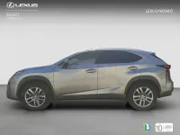 Usado Lexus NX300h Executive Line 197 CV (144 kW) 2017 Gris / plata SUV