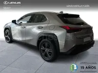 Usado Lexus UX Business Edition 184 CV (135 kW) 2021 Gris / plata SUV