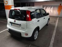Usado Fiat Panda City Life 70 CV (51 kW) 2023 Blanco Utilitario