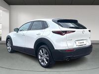 Usado Mazda CX-30 122 CV (89 kW) 2022 Blanco SUV