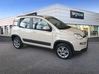 Usado Fiat Panda 4x4 75 CV (55 kW) 2014 Gris Utilitario