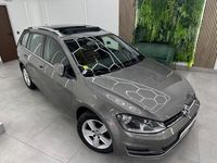 Usado VW Golf VII Advance 150 CV (110 kW) 2014 Gris / plata Familiar