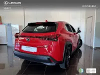 Usado Lexus UX 199 CV (146 kW) 2025 Rojo SUV