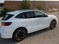 Usado Ford Kuga ST-Line 179 CV (131 kW) 2025 Blanco SUV
