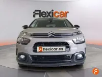 Usado Citroën C4 Cactus PureTech 110 CV (80 kW) 2019 Marrón Utilitario