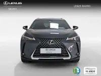 Usado Lexus UX 199 CV (146 kW) 2025 Gris SUV