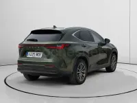 Usado Lexus NX350h Business Edition 242 CV (177 kW) 2023 Verde SUV