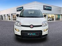 Usado Fiat Panda Comfort 70 CV (51 kW) 2023 Blanco Utilitario