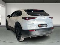 Usado Mazda CX-30 Homura-Line 141 CV (103 kW) 2025 Blanco SUV