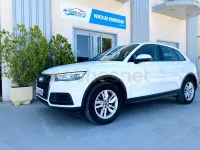 Usado Audi Q5 190 CV (139 kW) 2019 Blanco SUV