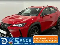 Usado Lexus UX 184 CV (135 kW) 2023 Rojo SUV