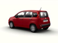 Nuevo Fiat Panda 70 CV (51 kW) 2025 Rojo Utilitario