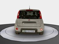 usado Fiat Panda -1.0 MHEV S/S 70CV 5P