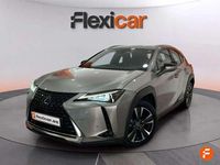 Usado Lexus UX 250h Business Edition 184 CV (135 kW) 2019 Gris SUV
