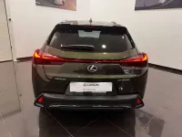 Usado Lexus UX 300h Sport Line 199 CV (146 kW) 2026 Verde SUV