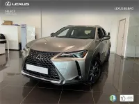 Usado Lexus UX 300h 199 CV (146 kW) 2026 Otro SUV