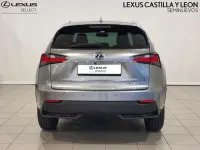 Usado Lexus NX300h Executive Line 197 CV (144 kW) 2016 Gris SUV
