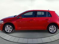 Usado VW Golf VII Edition 115 CV (84 kW) 2020