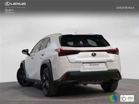 usado Lexus UX 250h Business 2WD