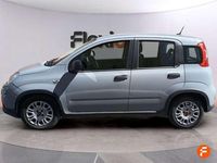 Usado Fiat Panda 71 CV (52 kW) 2023 Gris Utilitario