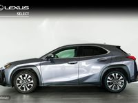 Usado Lexus UX 250h Sport Line 184 CV (135 kW) 2019 Varios colores SUV