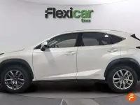 Usado Lexus NX300h Executive Line 197 CV (144 kW) 2019 Blanco SUV