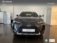 Usado Lexus UX 199 CV (146 kW) 2025 Gris / plata SUV