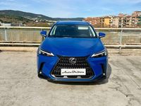 Usado Lexus NX350h Executive Line 243 CV (178 kW) 2024 Azul SUV