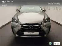Usado Lexus NX300h Executive Line 197 CV (144 kW) 2015 Gris / plata SUV