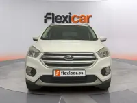 Usado Ford Kuga Trend 150 CV (110 kW) 2019 Blanco SUV