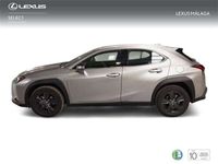 usado Lexus UX 250h Business City 2WD